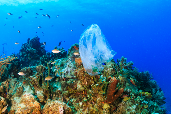 dangerous plastic ocean