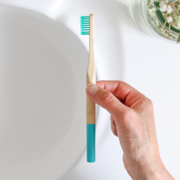 Eco Dental Brush Single