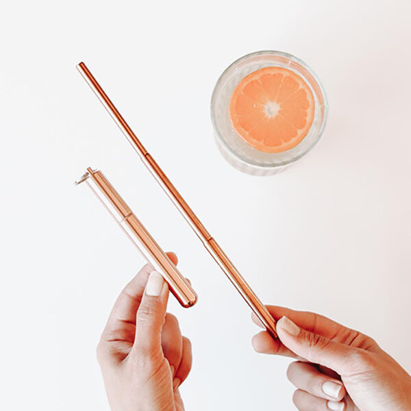 Collapsible Stainless Straw Rose Gold