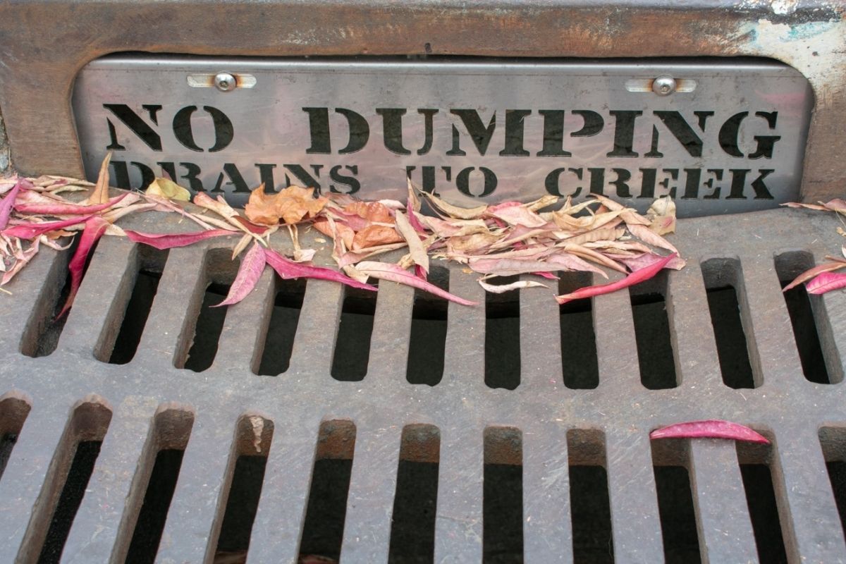 No Dumping Drains to Creek