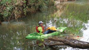 Petrie Creek Clean-Up Kayak